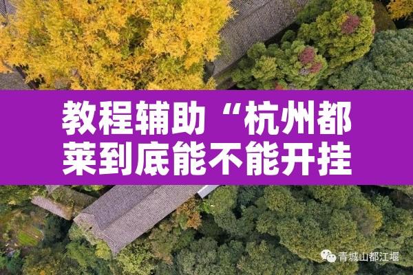 教程辅助“杭州都莱到底能不能开挂”其实确实有挂