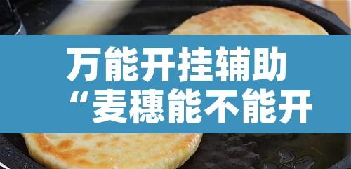 万能开挂辅助“麦穗能不能开挂	”开挂辅助脚本+详细开挂安装教程