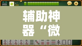 辅助神器“微乐陕西麻将怎么提高胜率”开挂辅助脚本+详细开挂安装教程