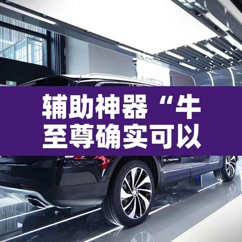 辅助神器“牛至尊确实可以开挂”其实确实有挂