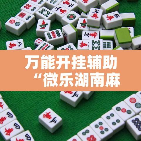 万能开挂辅助“微乐湖南麻将小程序必赢神器免费”开挂辅助脚本+详细开挂安装教程