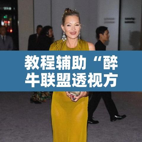 教程辅助“醉牛联盟透视方法”其实确实有挂