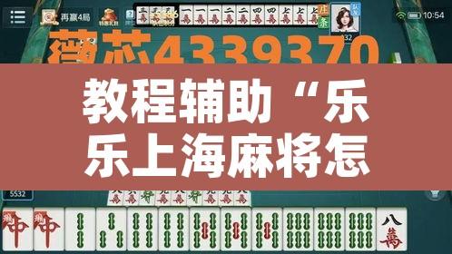 教程辅助“乐乐上海麻将怎么开挂”开挂辅助脚本+详细开挂安装教程