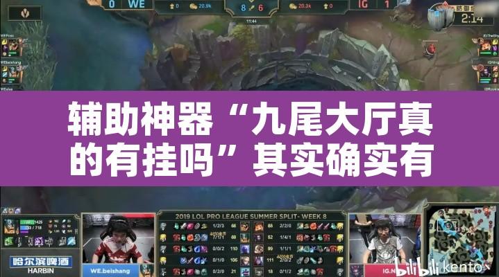 辅助神器“九尾大厅真的有挂吗”其实确实有挂