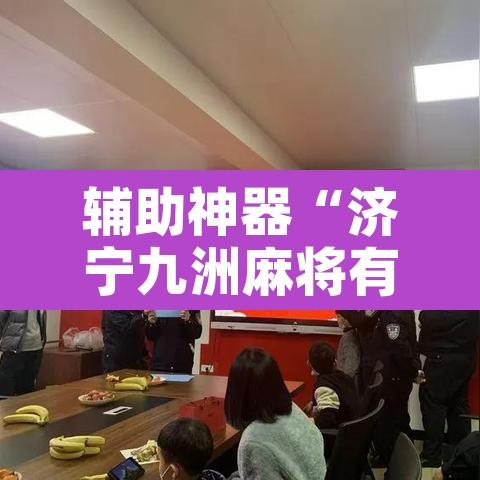辅助神器“济宁九洲麻将有挂吗”开挂辅助脚本+详细开挂安装教程