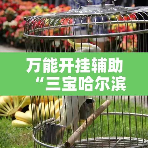 万能开挂辅助“三宝哈尔滨麻将辅助器工具”附辅助神器开挂脚本详细步骤